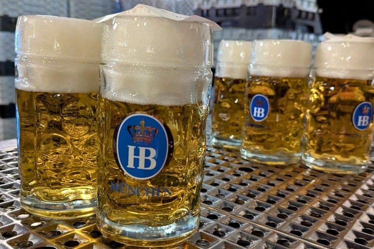 Hofbräuhaus Adventsbrunch 2024 Bild 5